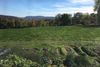 429 Bostwick Rd photo